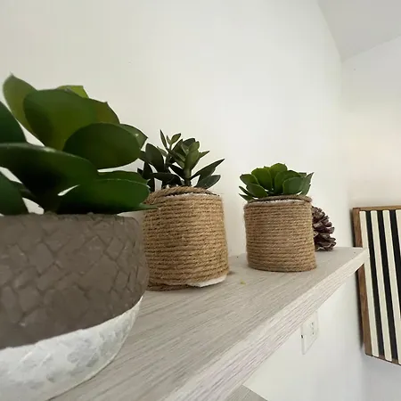 Sea Front Studio - Daire Sanremo